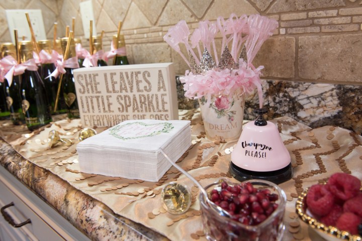 187-heathers-bridal-shower-1-28-17-photography-by-chris-miller