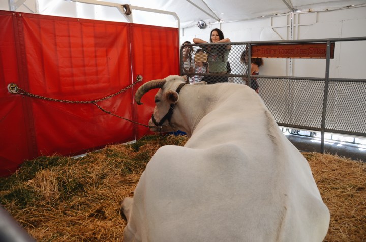 Processed with VSCO with a6 preset